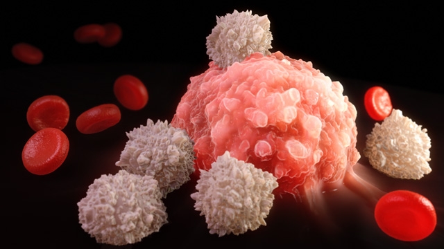 macrocyte-lux-modeled