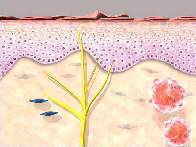 main-scene-3