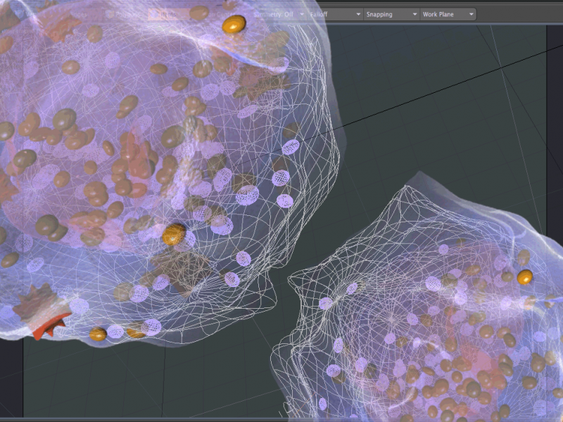 screenshot-metacelsa